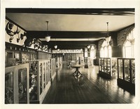 Devlin Hall interior: display cases with animals from Biology Department