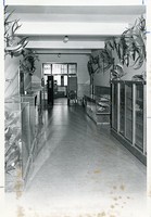 Devlin Hall interior: third floor hall with animals on display from the Biology Department