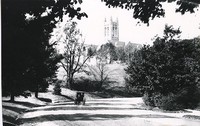 Gasson Hall exterior: bell tower through trees from dirt road with horse and buggy