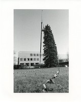 O&#39;Neill Library exterior: plaza, putting lights on the evergreen tree for Christmas