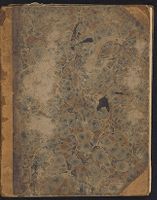 Hetty Gillison diary and commonplace book