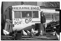 Man selling &quot;free-range&quot; eggs, and his hens, near Lisburn